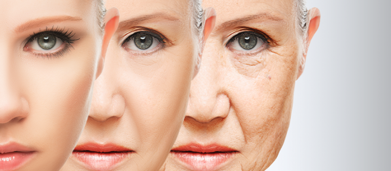Scientists Are Fighting To Slow Down The Ageing Process Uckg Sweden 